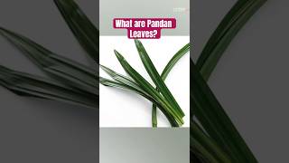 What Are Pandan Leaves? The Secret Ingredient Behind Incredible Flavour 🌿