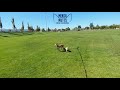 20171005 - Luna Boarding with Mini Training - Day 09/16 20171005 - Luna Boarding with Mini Training - Day 09/16