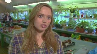 Tips for Sustaining a Successful School Garden