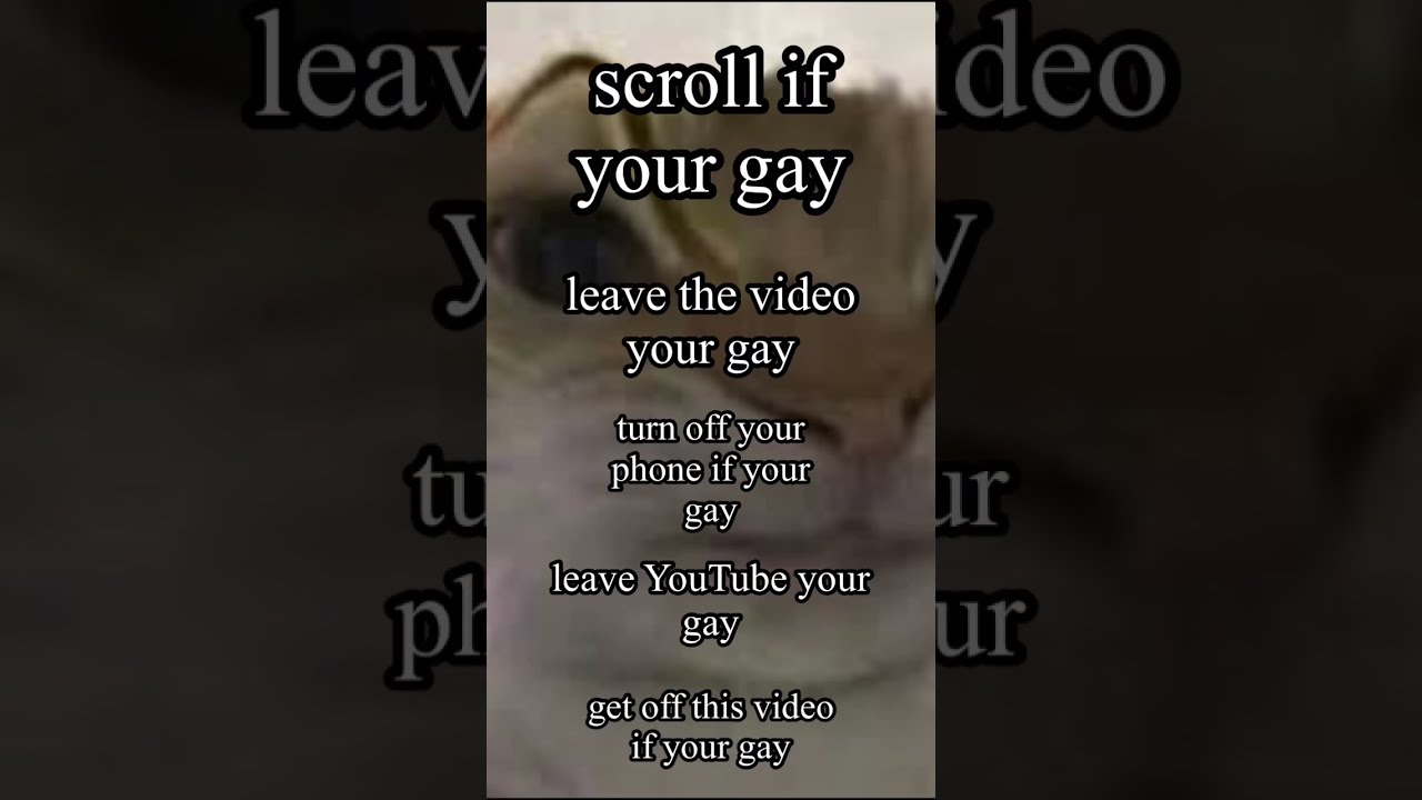Scroll If Your Gay