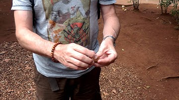 Cracking Macadamia nuts on Molokai