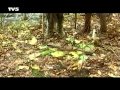 Quelle Aventure : A la découverte du Canada