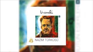 Zülfü Livaneli - Arhavili Ismail Resimi