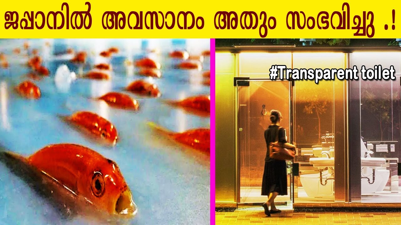 കാല് കഴുകാൻ മാത്രമായി ട്രെയിനും, umbrella പാർക്കിംഗ് lotഉം|ജപ്പാനിൽ അടുത്തിടെ കണ്ടെത്തിയ കാര്യങ്ങൾ