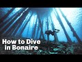 How to Dive in Bonaire | East Coast Diving Bonaire