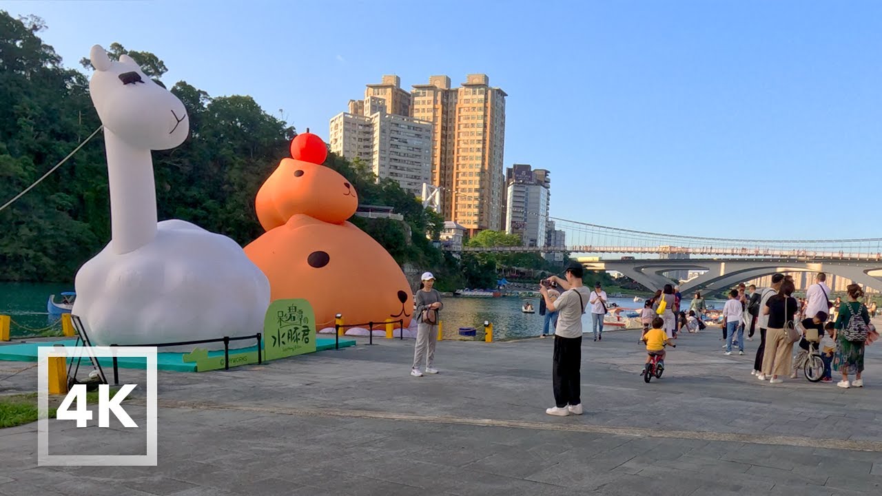 新店碧潭一日遊｜巧遇12米超大水豚君水上氣球＋碧潭吊橋，一個療癒的