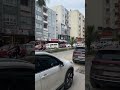 Силифке