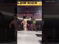 Low kick #kickboxing #mma #martialarts #kick #tricks