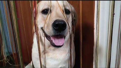 Ye max kya kr rha hai.🥹😂 #fyp #explore #funny #fitness #youtube 