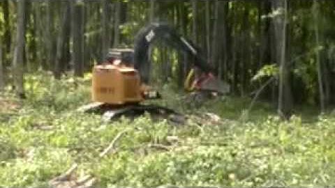 Cat 501 HD Processor