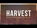 Harvest BFC Sunday Service