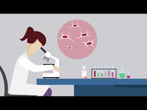 Video: Sel Stromal Mesenchymal: Biologi Sel Stem Mesenchymal Dewasa: Peraturan Khusus, Pembaharuan Diri Dan Pembezaan