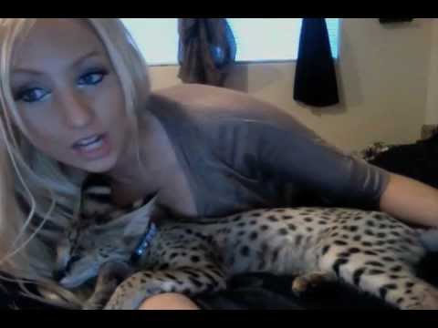 my-serval