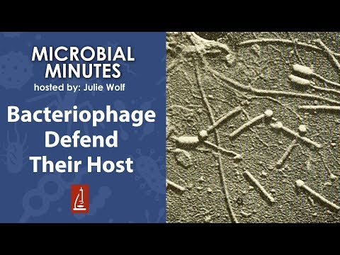 Video: Er fager specifikke for en bakterievært?