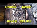 River Relics: Bullets And A Horse! (lower jaw) | Aquachigger