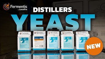 Making High-Quality Distillate with Different Yeast Strains