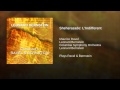 Miniature de la vidéo de la chanson Shéhérazade: L'indifférent