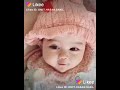 Cute Baby Say Baba TikTok 
