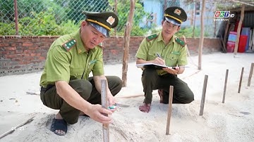 Những “bà đỡ” cho rùa biển | BRTgo