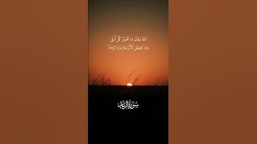 سورة الرعد تلاوة #اكسبلور #قرآن #تيك_توك #لايك #تلاوة_خاشعة #ترند