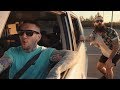 This Wild Life - Positively Negative [OFFICIAL VIDEO]