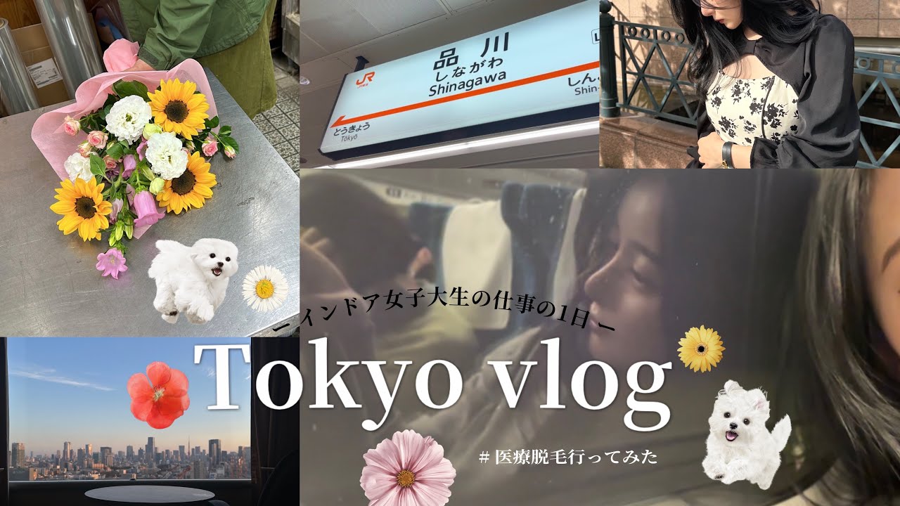 【 Tokyo vlog 】インドア女子大生が仕事する1日 :)
