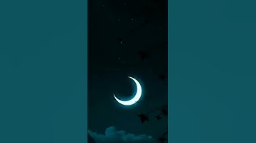 تلاوة هادئة تريح القلب 🖤🖤🖤#تلاوة_قرآن #اكسبلور