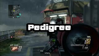 Pedigree | A Multi-COD Tri-Tage Trailer