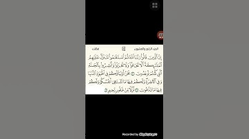 ما #تيسر #من# سورة# فصلت# بصوت# القارئ# أبو محمد #الرشيد ########