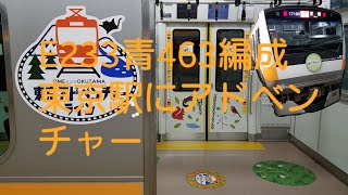 ＪＲ Ｅ233系 青463編成 東京駅入線
