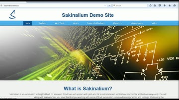 Java   Web   Site Video