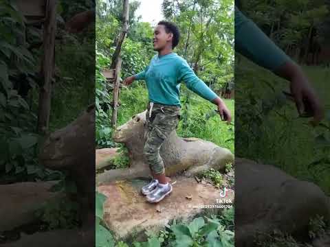 ፋኒት ባለም አሟሟቷ በጣም ያሳዝናል ፋናሚዲያኮርፖሬሽን ፋኖ ፋኖ