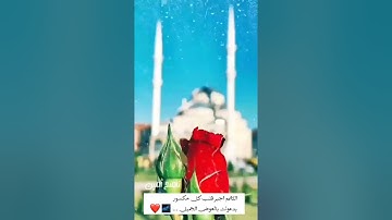 قل أفغير الله تأمرٓونّي أعبد أيها الجاهلون... // تلاوة خاشعة ومؤثرة // حالات واتس اب دينية