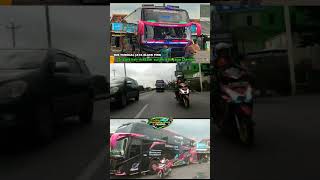 Basuri Bus Tunggal Jaya Black Pink JB5 #toleletbasuri #basuri  #bustunggaljaya #blackpink #busmania