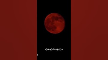 #سورة_القيامة #ياسر_الدوسري #القرآن_الكريم
