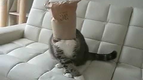 Untitled Anonymous, 2009