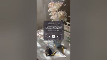 ان الله وملائكته يصلون على النبي | صلاح بو خاطر | قرآن كريم | يوم الجمعة