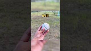 White Ball Se Batting Krte Waqt Hua Kaand  minivlog tranding shorts short cricket vlog