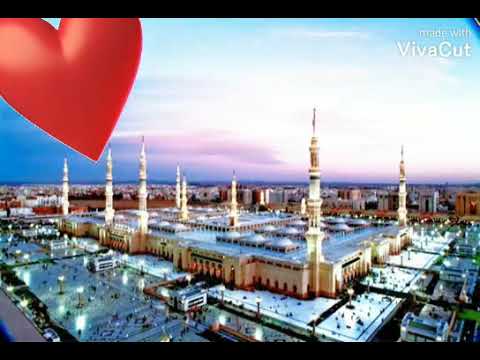 ياطيور الوادي 