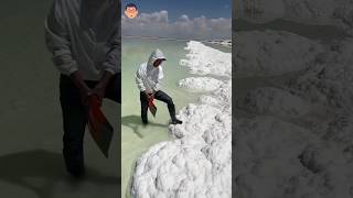 Reality Of White Sand Beaches 