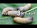 ディスカバリー3分クッキング|トジャングルのシチュー(ディスカバリーチャンネル)