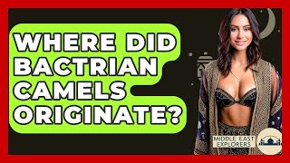Where Did Bactrian Camels Originate? - Middle East Explorers