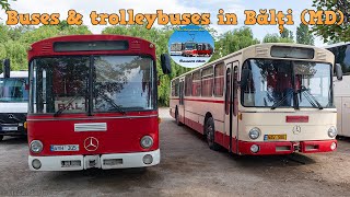 Buses & Trolleybuses in Bălți 🇲🇩 (2023)