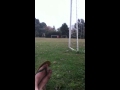 Rugby  long free kick