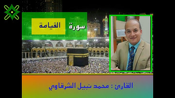 المصحف المرتل | سورة القيامة بصوت القارئ محمد نبيل الشرقاوي