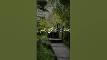 #قرآن كريم#قران كريم بصوت جميل#قران کریم🫀#قران صوت راحه نفسيه#﷽ القران الكريم#صوت قران يخشع القلوب