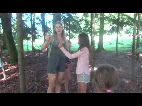 Forest experience