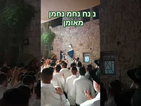 יאיר אלייצור בהופעה ספונטנית מוצ ש אצל דוד המלך 