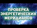 Проверка энергетических меридианов