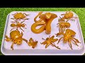 A Kids Adventures with the King Cobra and the Insect Realm Mysteries